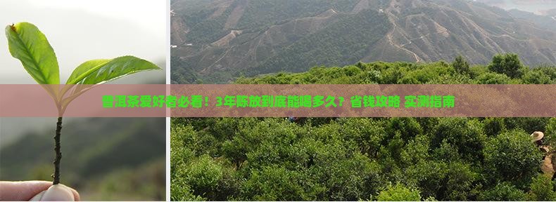 普洱茶要多久才能喝完