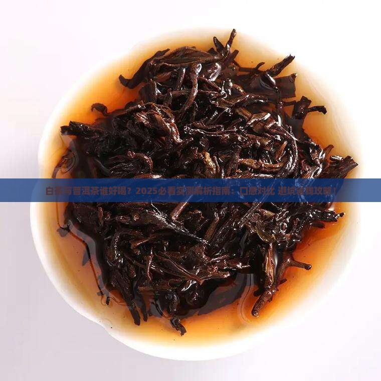 白茶与普洱茶谁好喝