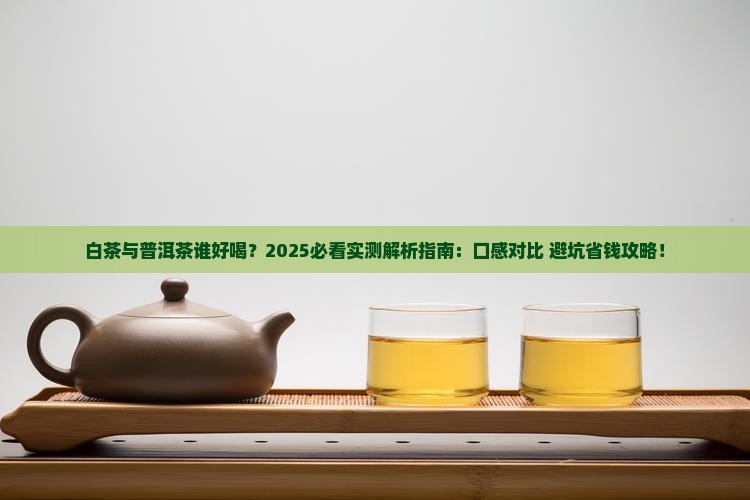 白茶与普洱茶谁好喝