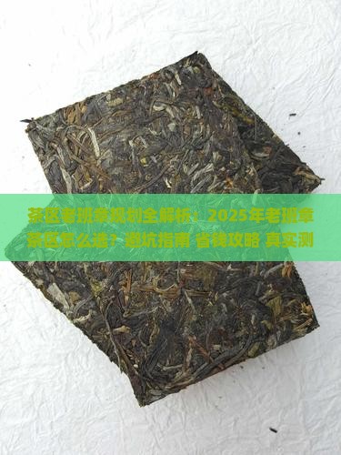 茶区老班章规划