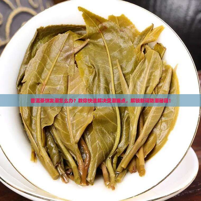 普洱茶饼发潮怎么办