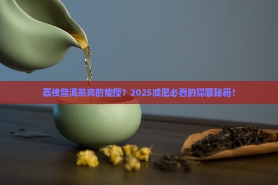 荔枝普洱茶减肥推荐