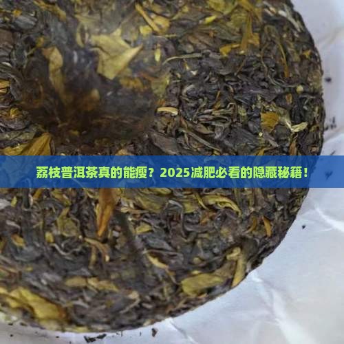 荔枝普洱茶减肥推荐