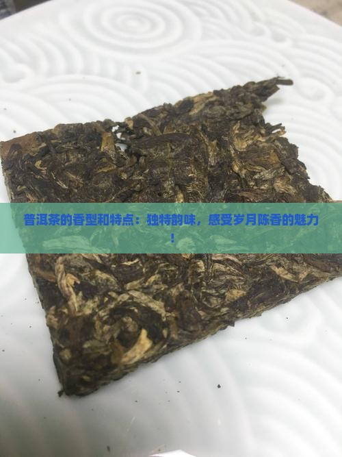 普洱茶的香型和特点