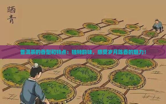普洱茶的香型和特点