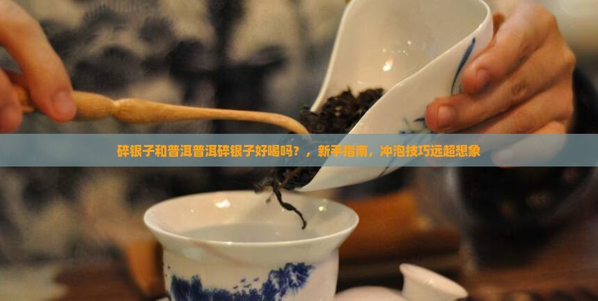 碎银子和普洱普洱碎银子好喝吗