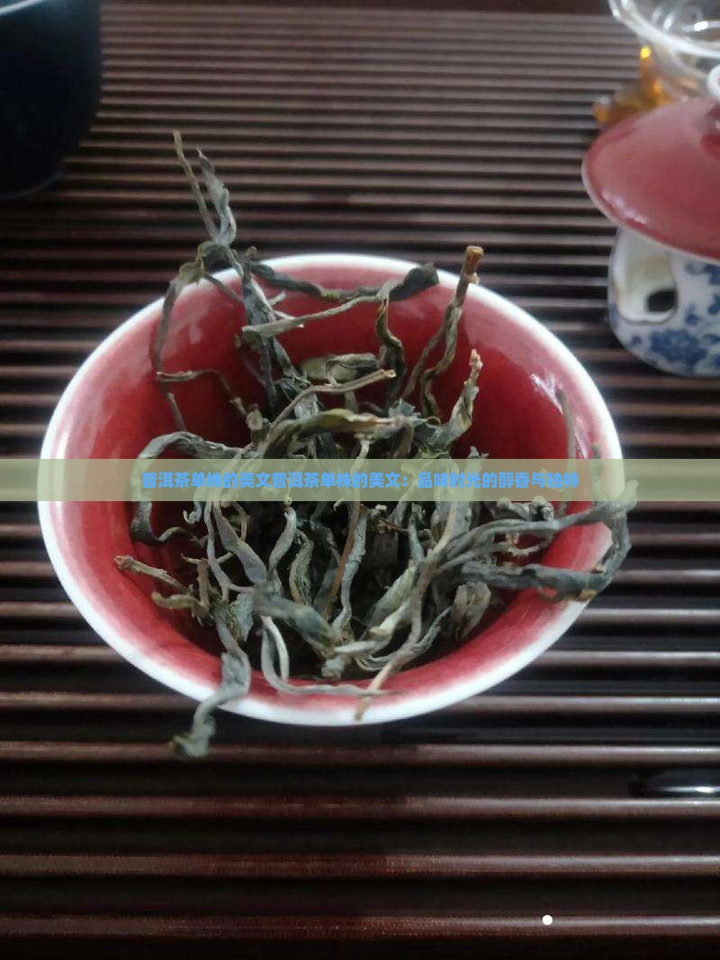 普洱茶单株的美文