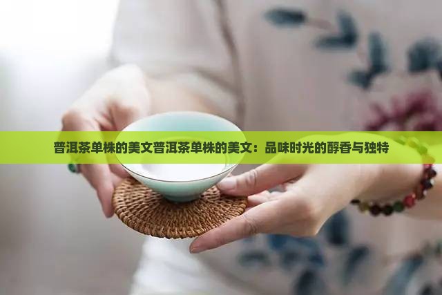 普洱茶单株的美文