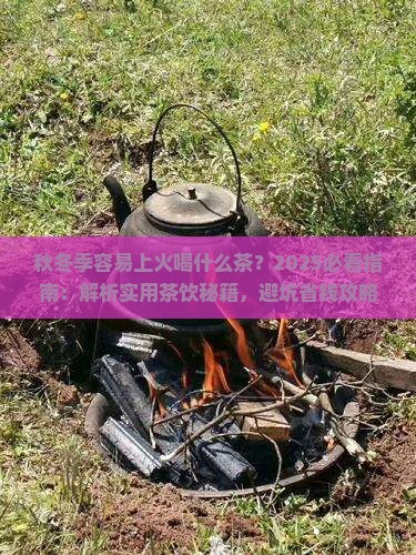 秋冬季容易上火喝什么茶