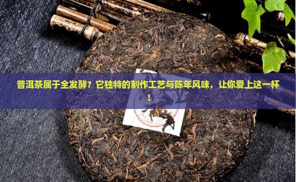普洱茶属于全发酵