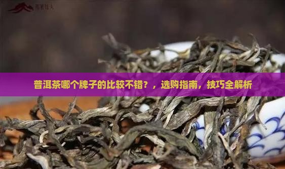 普洱茶哪个牌子的比较不错