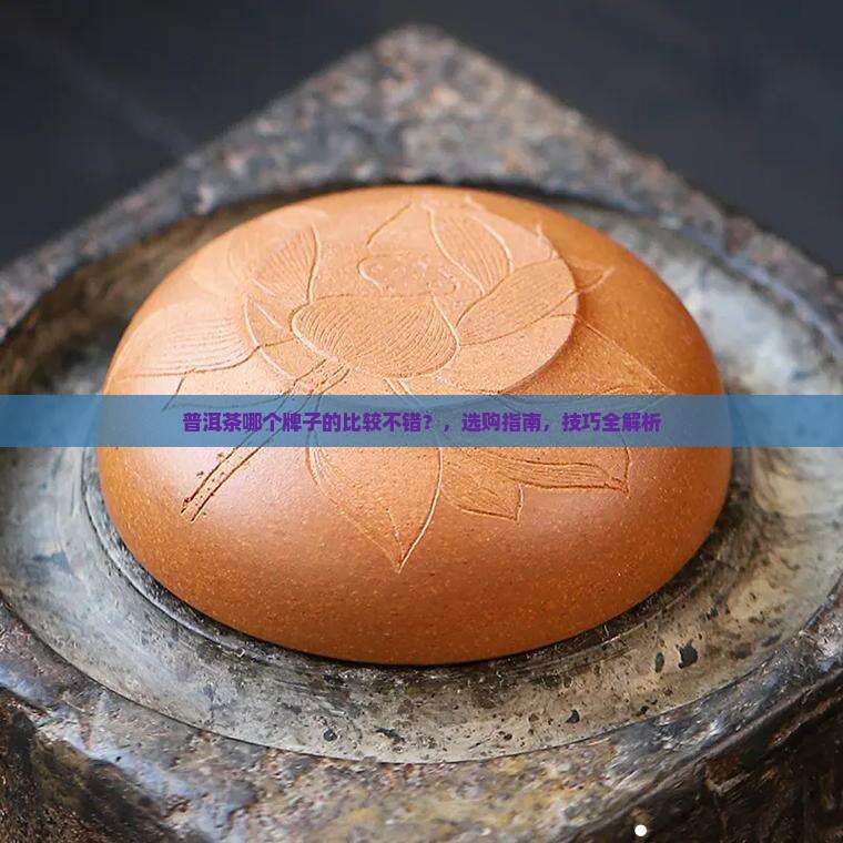 普洱茶哪个牌子的比较不错