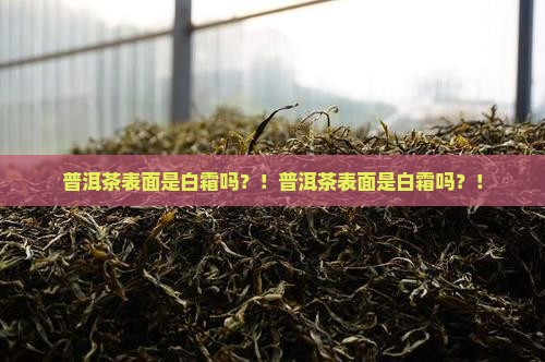 普洱茶表面是白霜吗