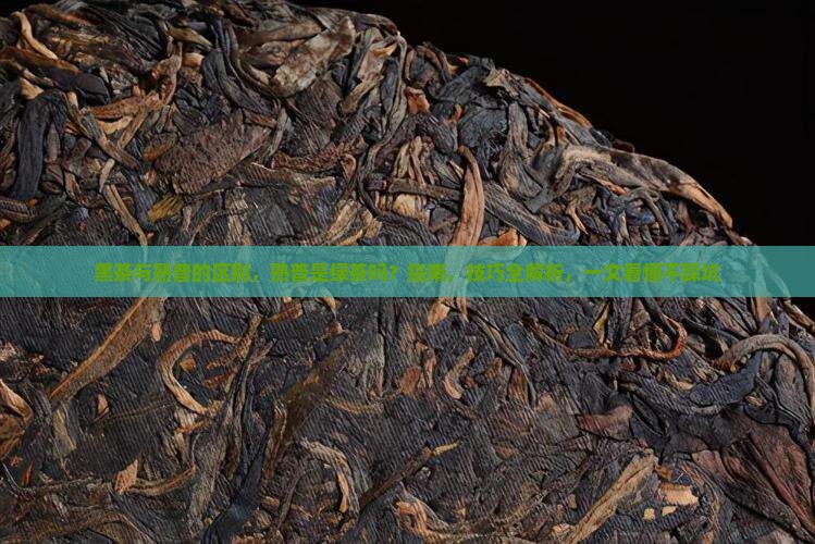 黑茶与熟普的区别熟普是绿茶吗