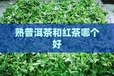 熟普洱茶和红茶哪个好
