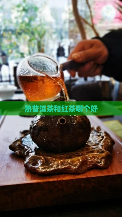 熟普洱茶和红茶哪个好