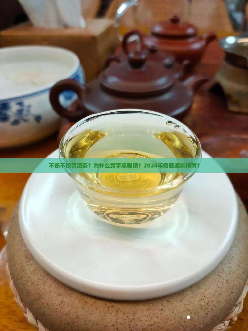 不熟不饮普洱茶推荐理由