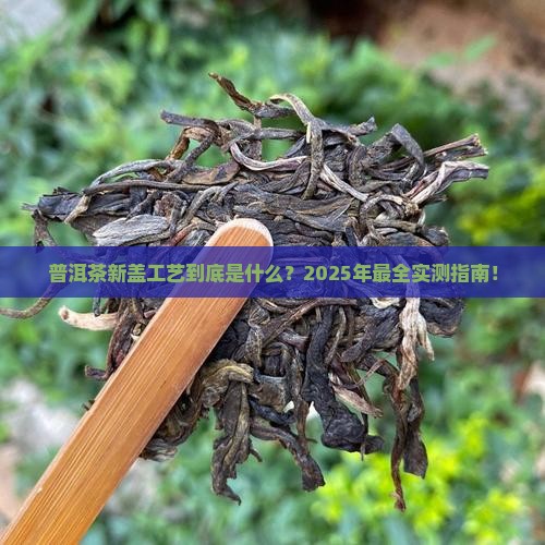 普洱茶新盖工艺是什么工艺