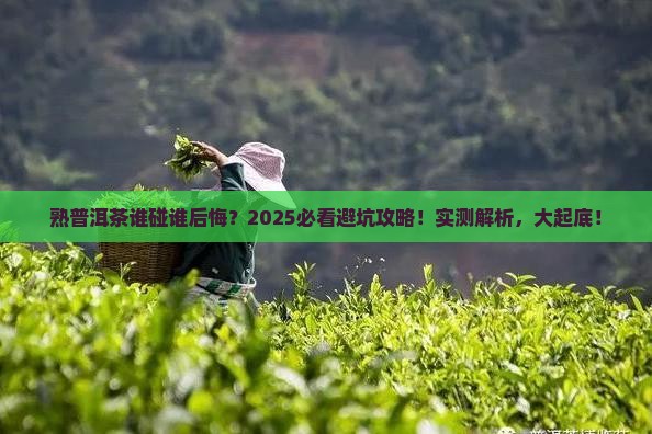 熟普洱茶不适合什么人