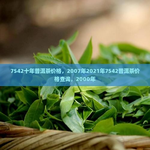7542十年普洱茶价格