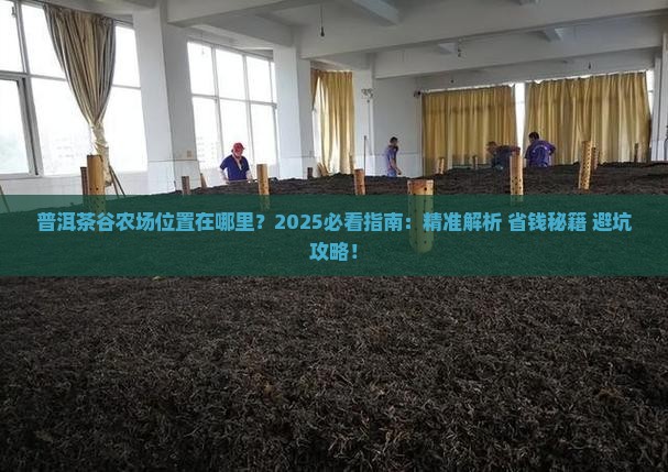 普洱茶谷农场位置在哪里