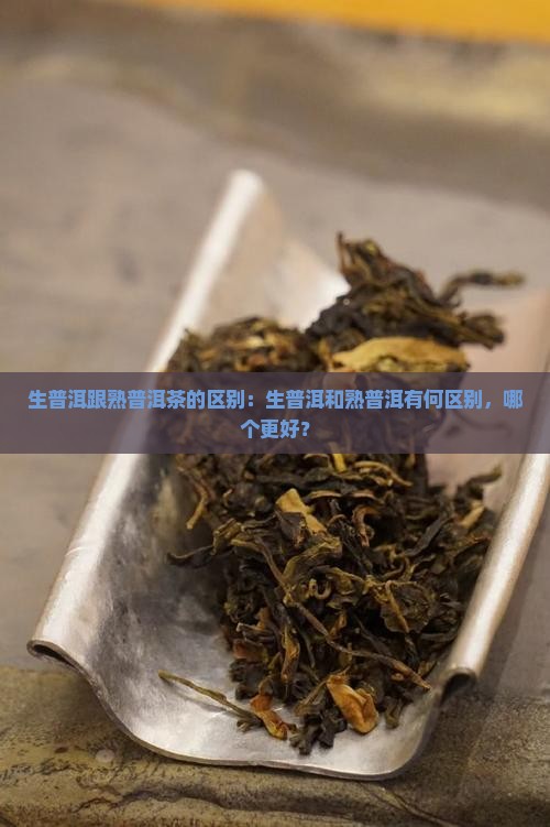生普洱跟熟普洱茶的区别