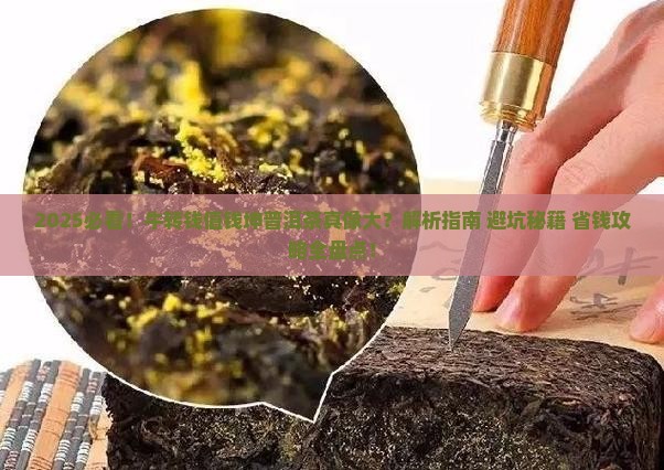 牛转钱值钱吗坤普洱茶