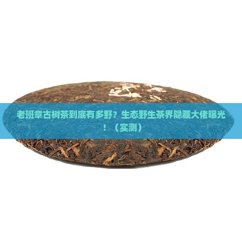 中茶生态野生古树茶老班章