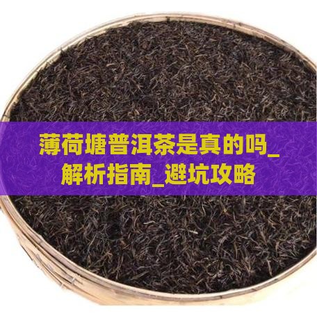薄荷塘普洱茶是真的吗