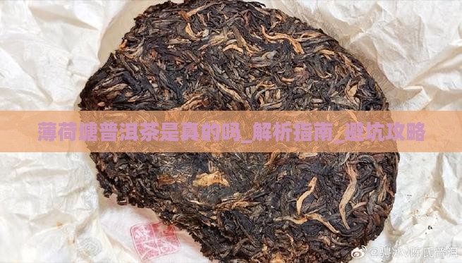 薄荷塘普洱茶是真的吗