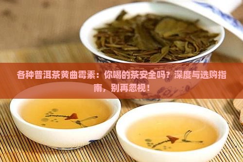 各种普洱茶黄曲霉素