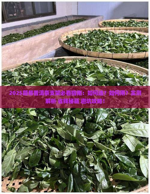 简易普洱茶支架