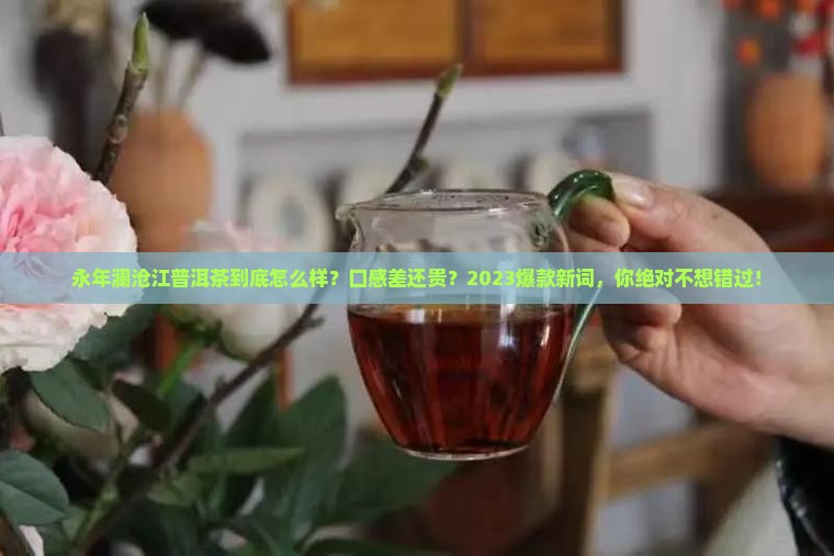 永年澜沧江普洱茶怎么样