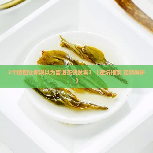 普洱茶饼表面有点白色