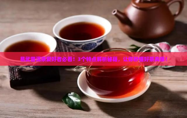 易武普洱茶有哪些特点