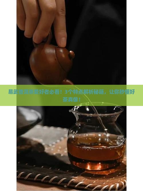 易武普洱茶有哪些特点