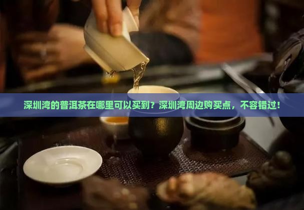 深圳湾的普洱茶在哪里可以买到