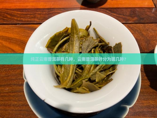 纯正云南普洱茶有几种