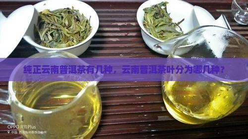 纯正云南普洱茶有几种