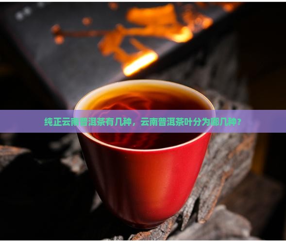 纯正云南普洱茶有几种