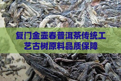 复门金壶春普洱茶
