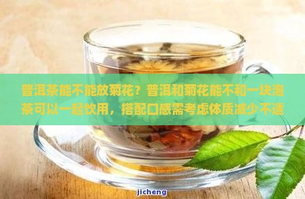 普洱茶能不能放菊花