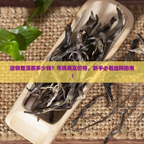 造物普洱茶多少钱