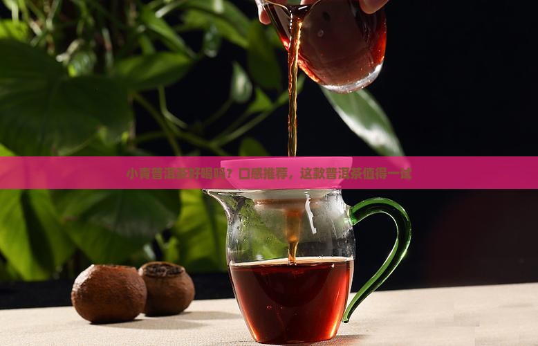 小青柑普洱茶好喝么