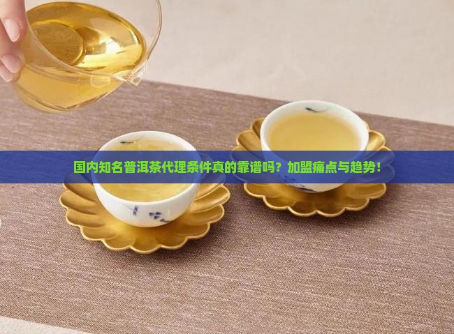 国内知名普洱茶代理条件