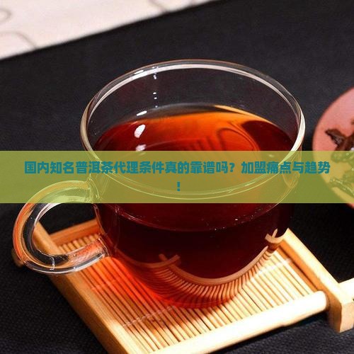 国内知名普洱茶代理条件