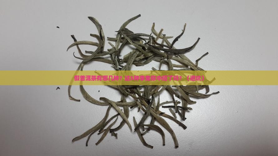 假普洱茶有哪几种