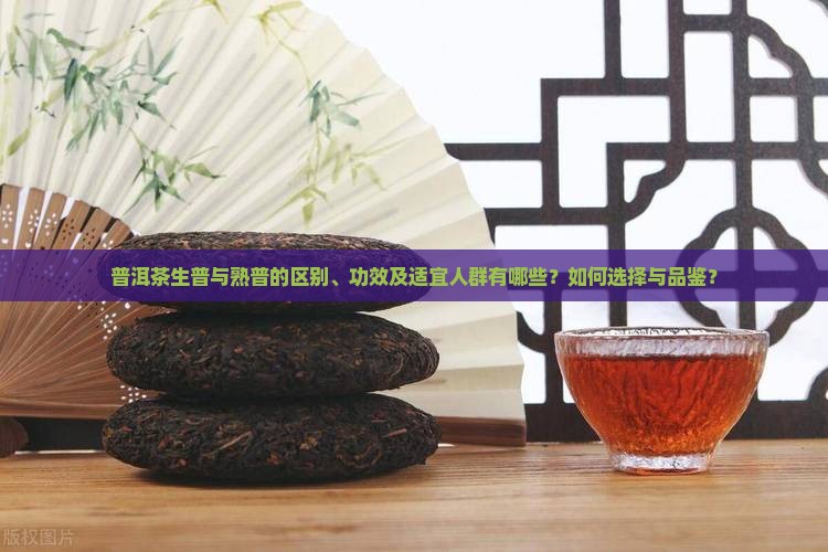 普洱茶生普与熟普的区别、功效及适宜人群有哪些？如何选择与品鉴？