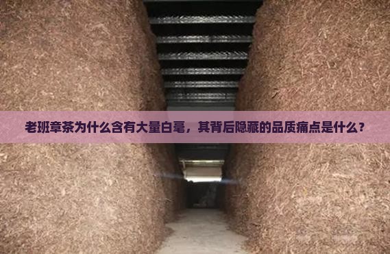 老班章茶为什么含有大量白毫，其背后隐藏的品质痛点是什么？