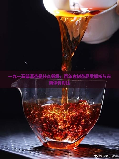 一九一五普洱茶是什么等级：百年古树茶品质解析与市场评价对比